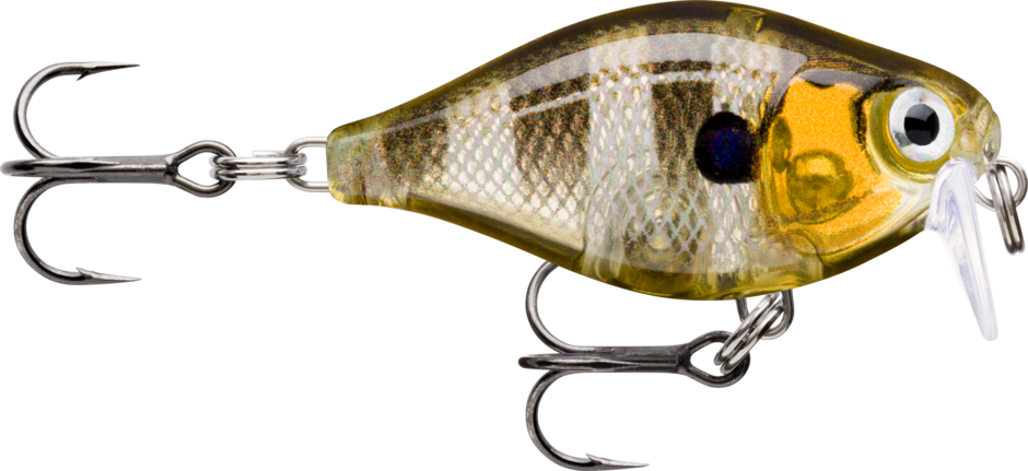 Glassy Gill UV