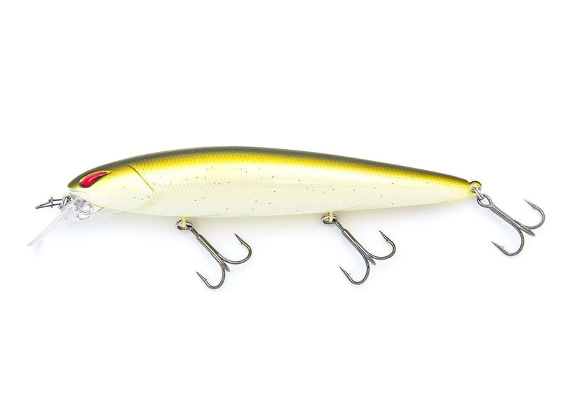 Rootbeer Shad