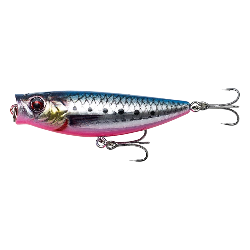 Pink Belly Sardine PHP