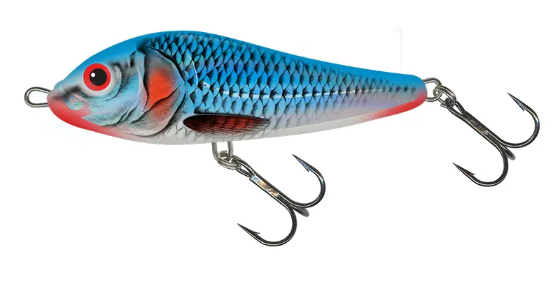 Bleeding Blue Shad