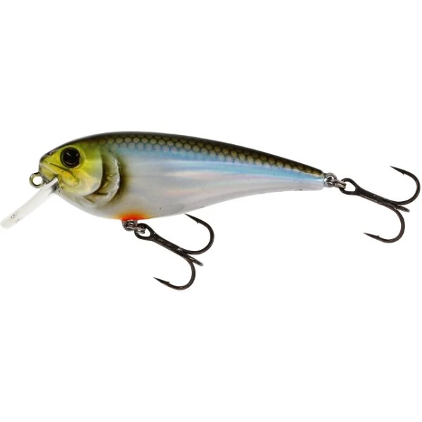 Westin Rawbite F 7cm Blueback Herring