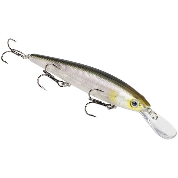 Clearwater Minnow