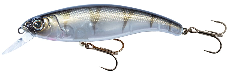 UV Striped Shiner