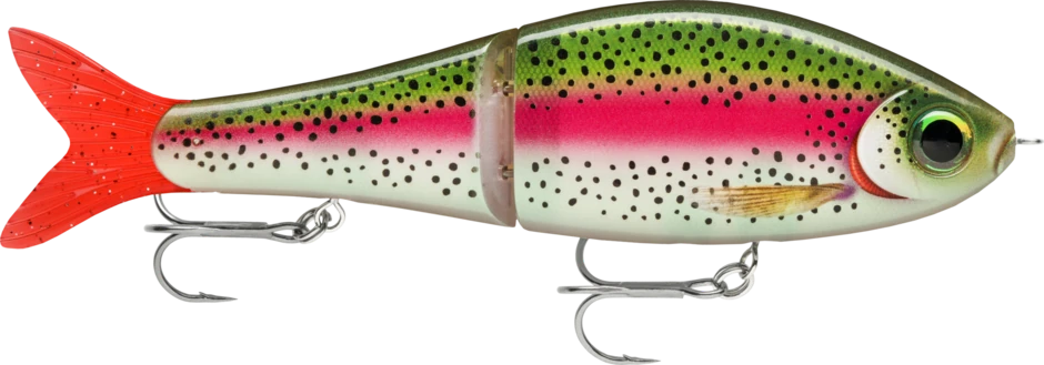 Live Rainbow Trout