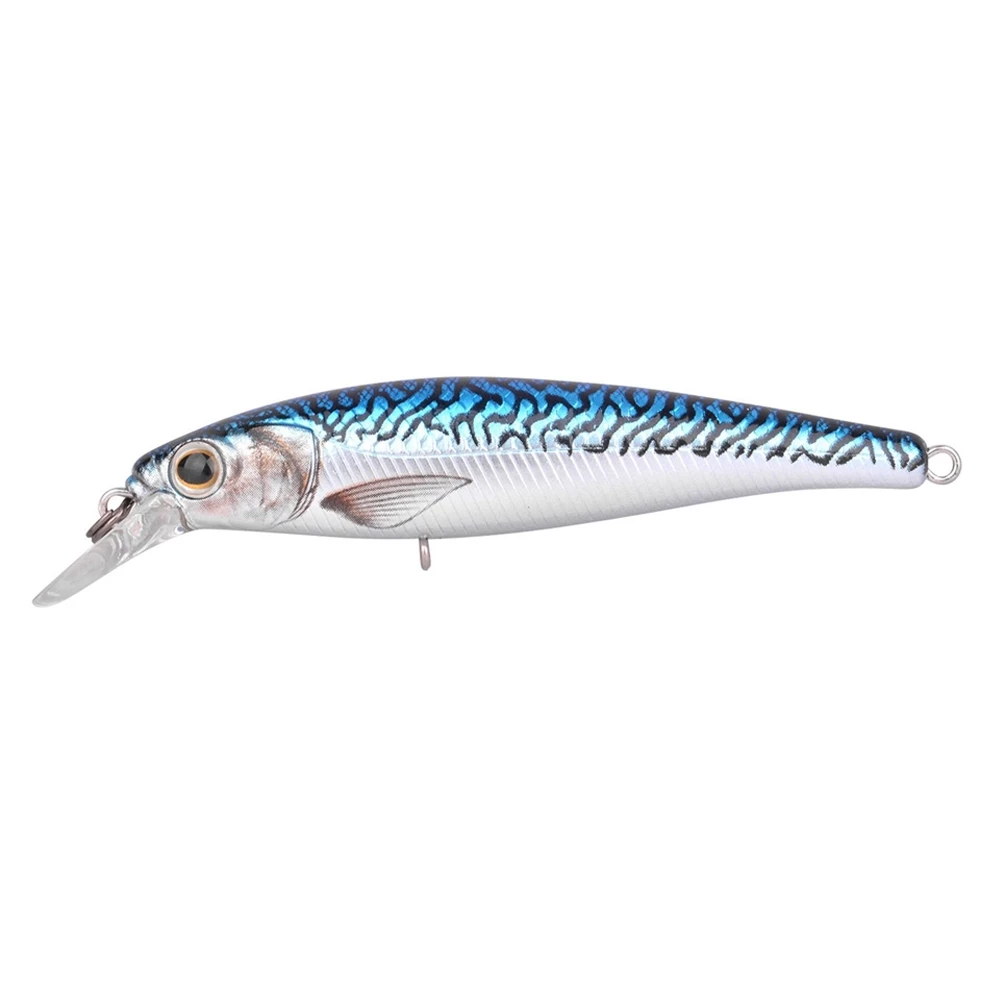 Mackerel