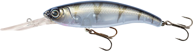 UV Striped Shiner