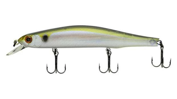 Ghost Threadfin Shad