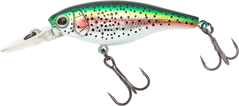 Rainbow Trout