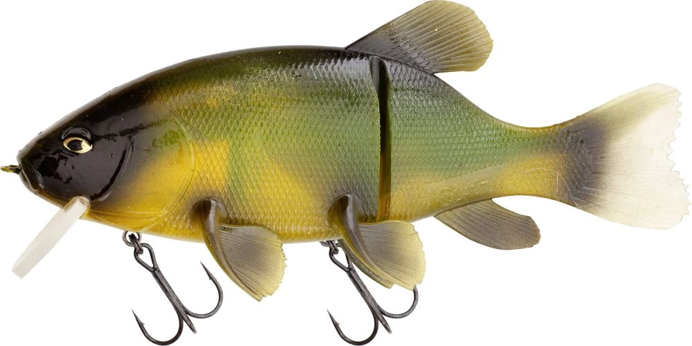 Green Tench