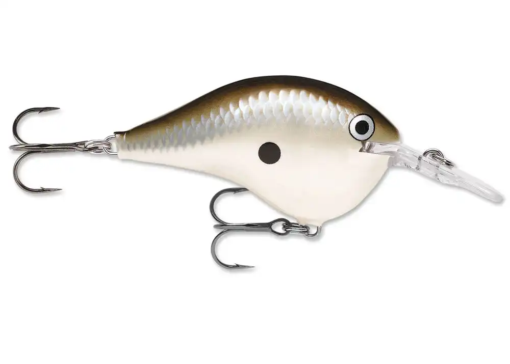 Pearl Grey Shiner