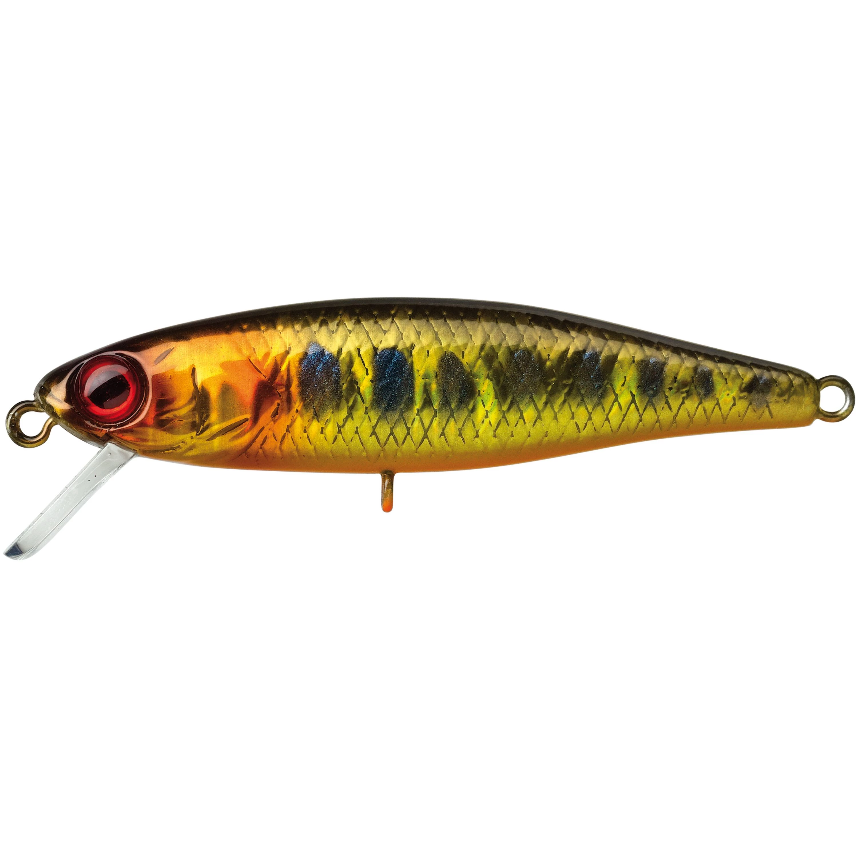 HL Gold Trout