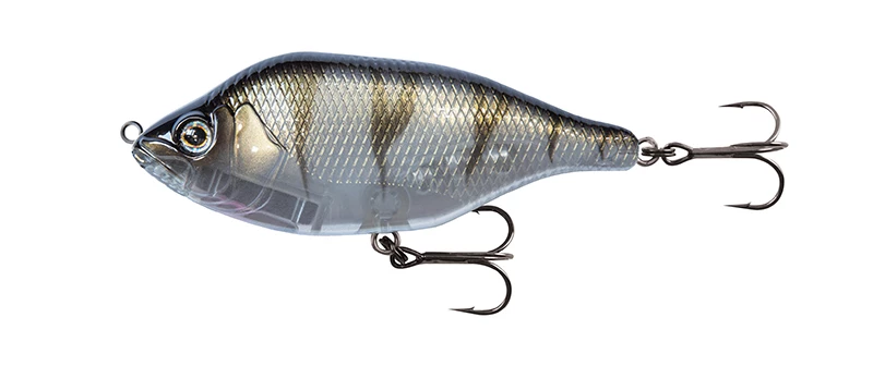 UV Striped Shiner