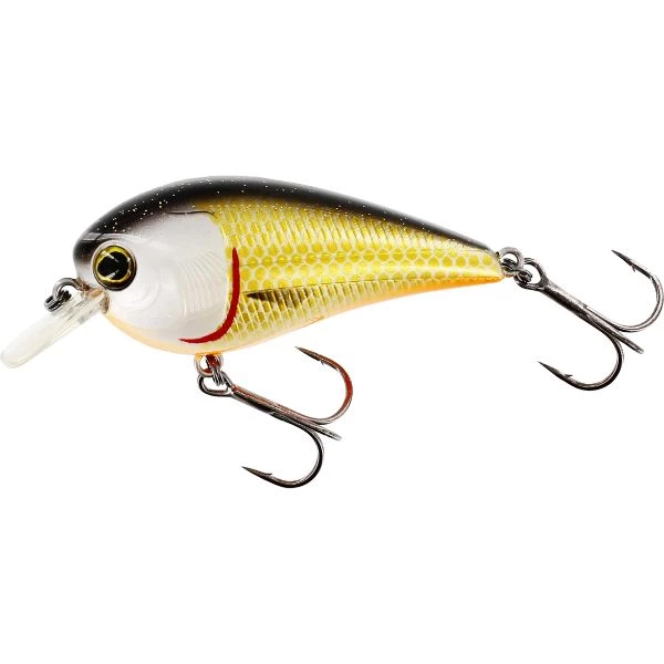 Westin Bassbite Squarebill F 6cm Official Roach