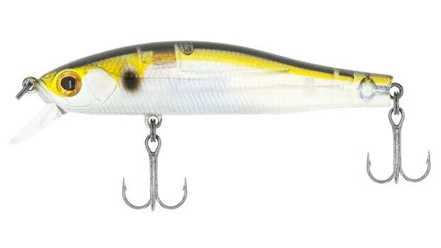 Ghost Threadfin Shad