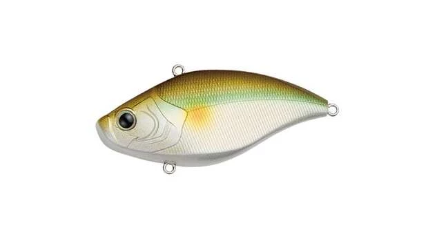 Pearl Shad