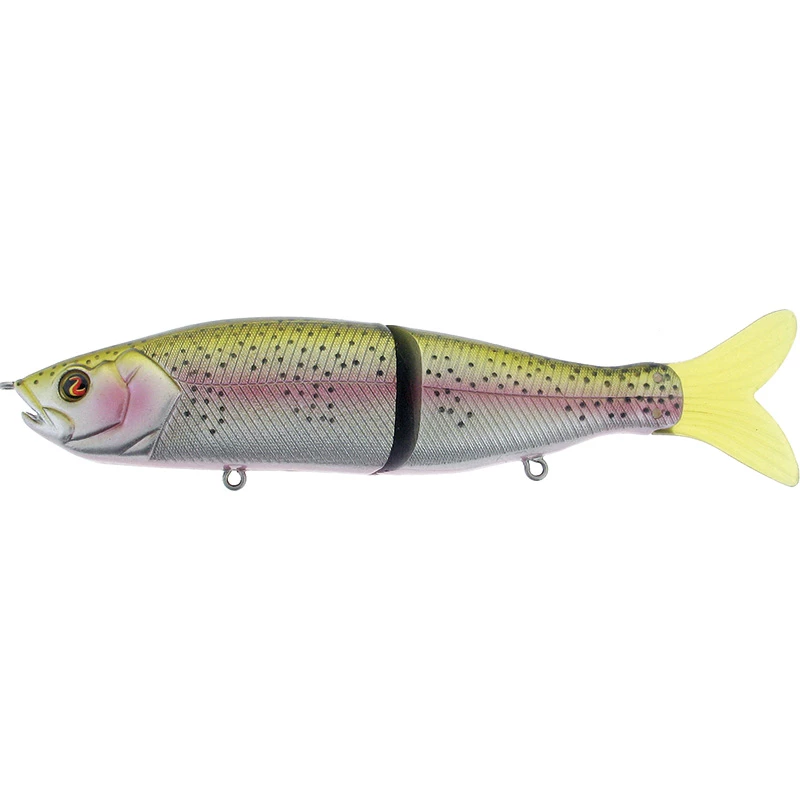 Rainbow Trout