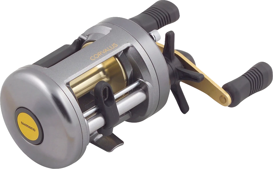 Shimano Corvalus 401