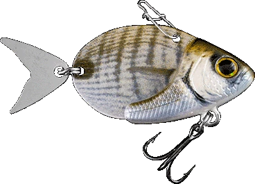 White Bream