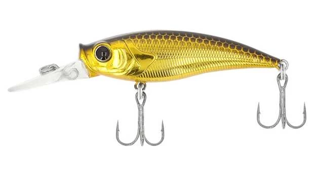 Golden Shiner