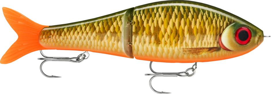 Scaled Roach