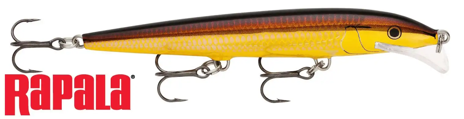 Rapala Scatter Rap Minnow 11cm Golden Alburnus