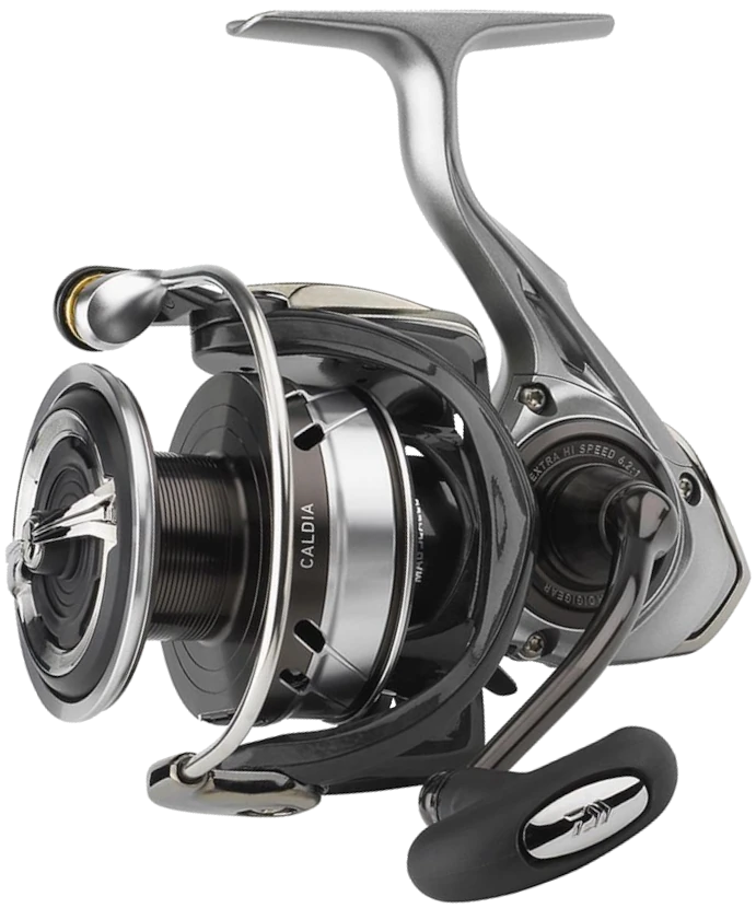 Daiwa 18 Caldia LT 1000S-P