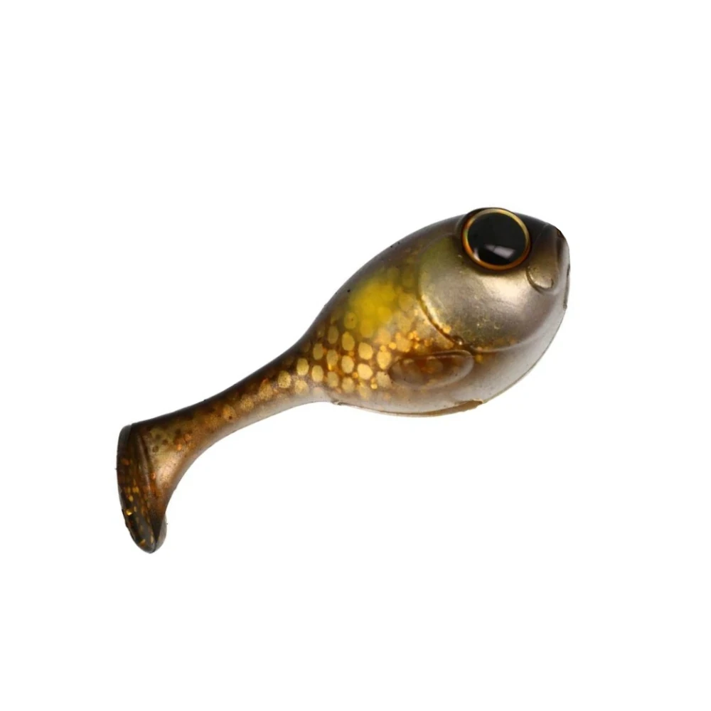 Gold Carp